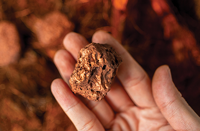 Stérimar - El metal que te protege